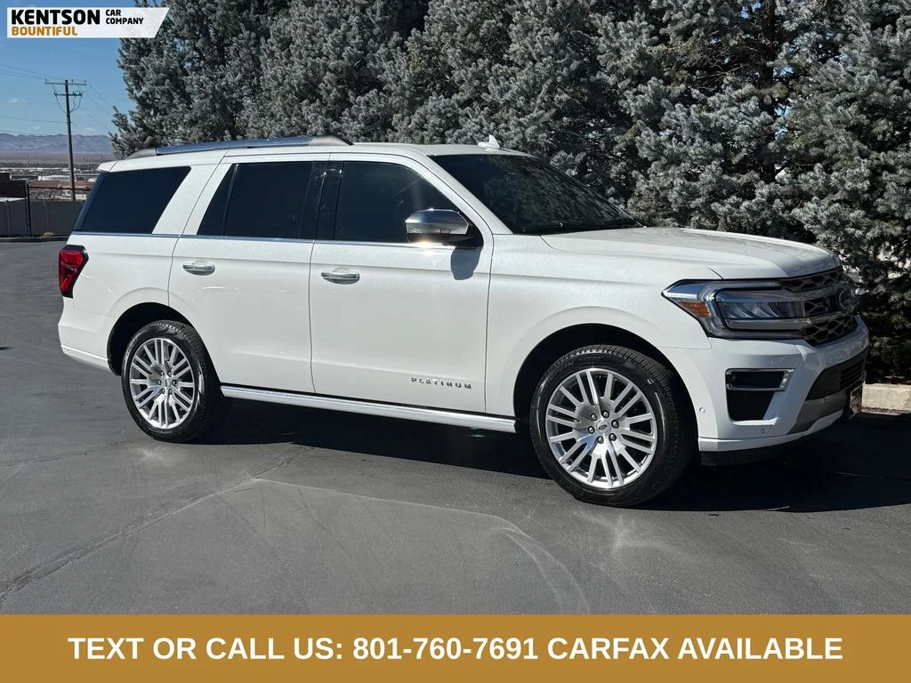 2024 Ford Expedition Platinum - Photo 11