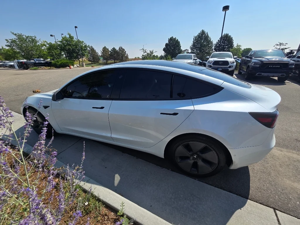 Used 2021 Pearl White Multi-Coat Tesla Standard Range Plus image 3