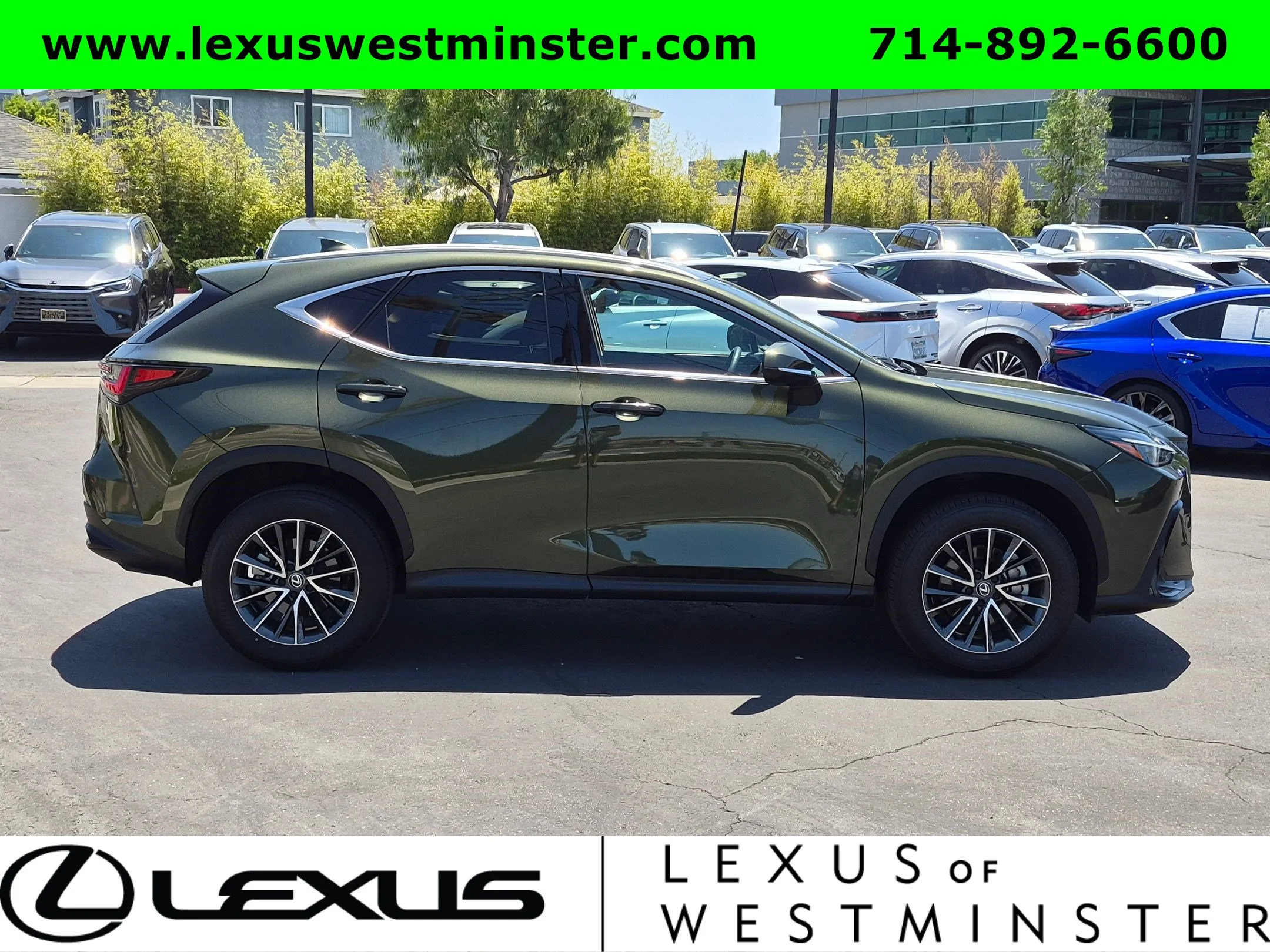 Certified Used 2024 NORI GREEN PEARL Lexus NX 250 image 5