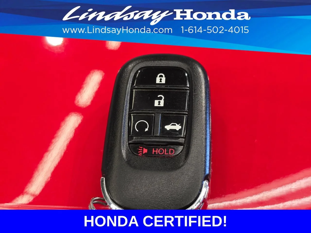 Photo 50