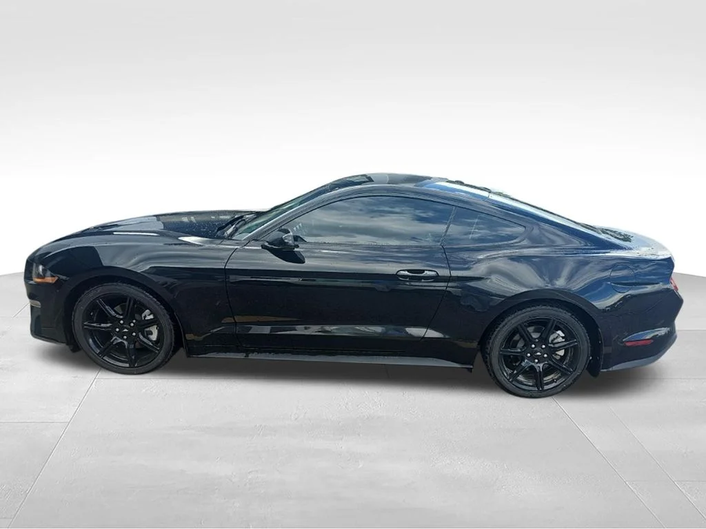 Used 2019 Shadow Black Ford EcoBoost Premium image 3