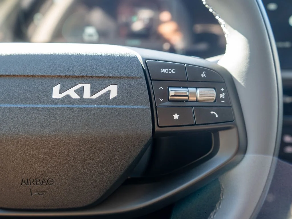 New 2026 Panthera Metal Kia LIGHT image 19