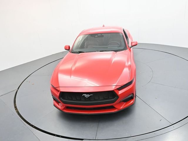 New 2026 Race Red Ford EcoBoost® Premium Fastback image 80