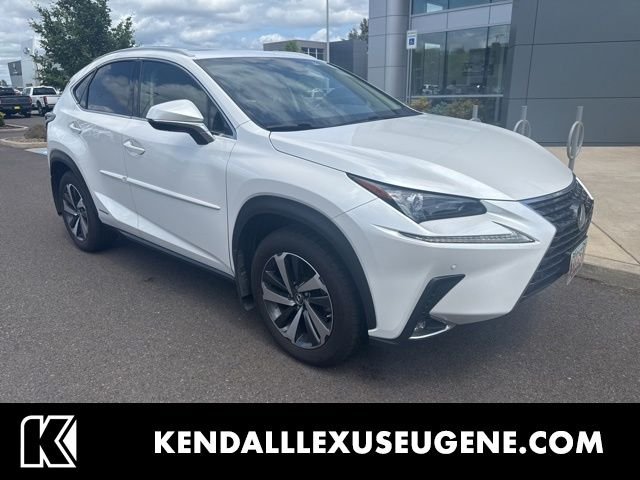 2019 Lexus NX 350h 300h AWD's photo