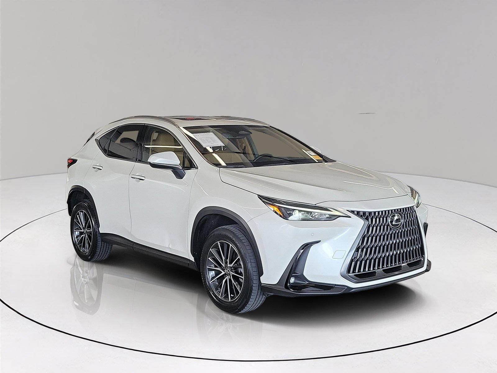 2025 Lexus NX