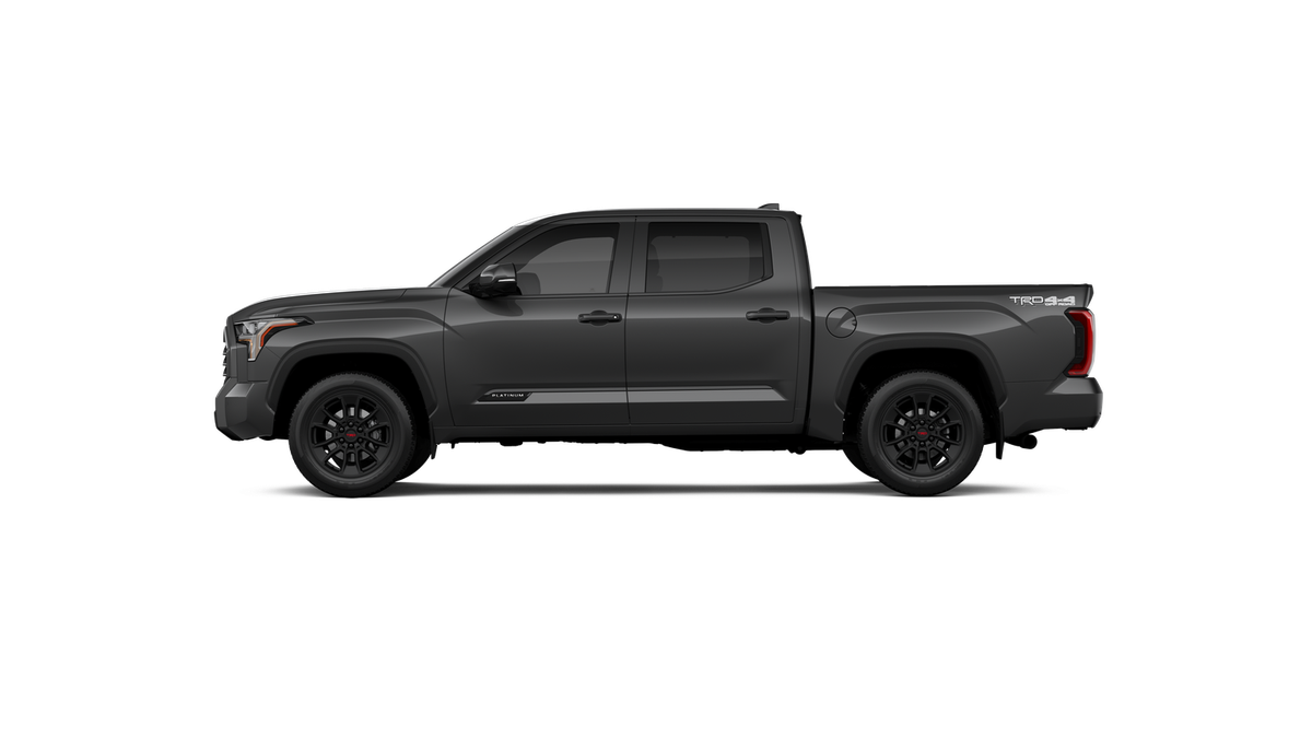 New 2026 Magnetic Gray Metallic Toyota Platinum image 5
