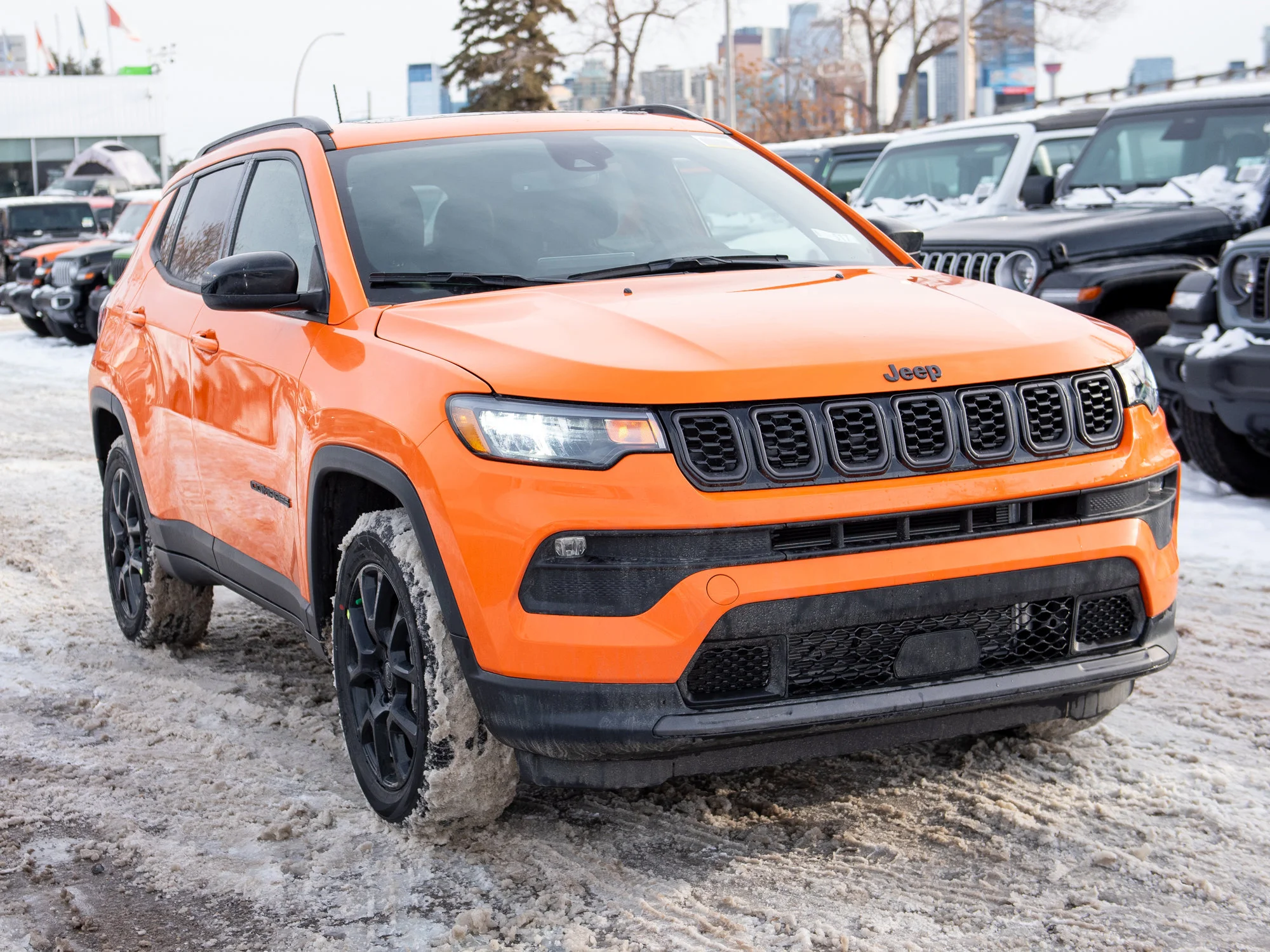 New 2026 joose Jeep North* image 6
