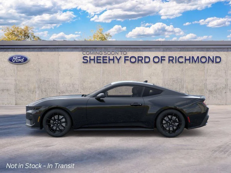 New 2026 Shadow Black Ford GT image 4