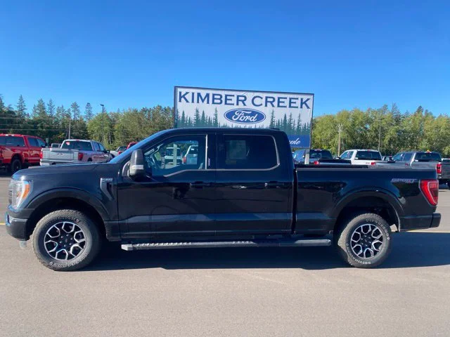 Used 2023 Ford F-150 XLT with VIN 1FTFW1E83PFB49877 for sale in Pine River, Minnesota
