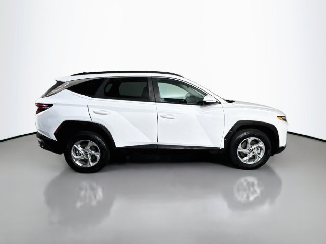 Used 2023 Serenity White Pearl Hyundai SEL image 8