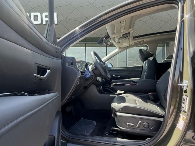 New 2026 Green Hyundai Limited image 15