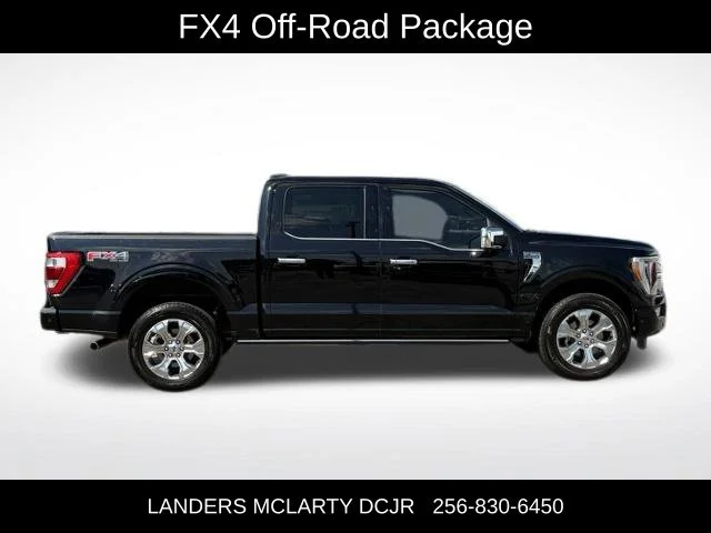 Used 2023 Black Ford Platinum image 9