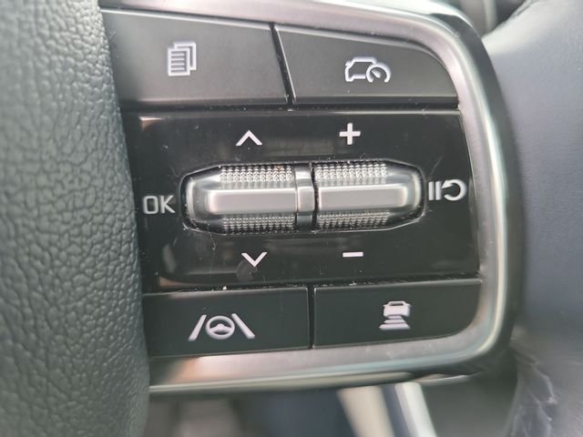 Certified Used 2025 Panthera Metal Kia SX Prestige image 33