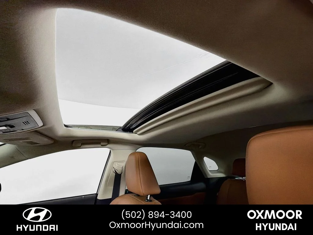 Used 2022 Nori Green Pearl Lexus  image 21