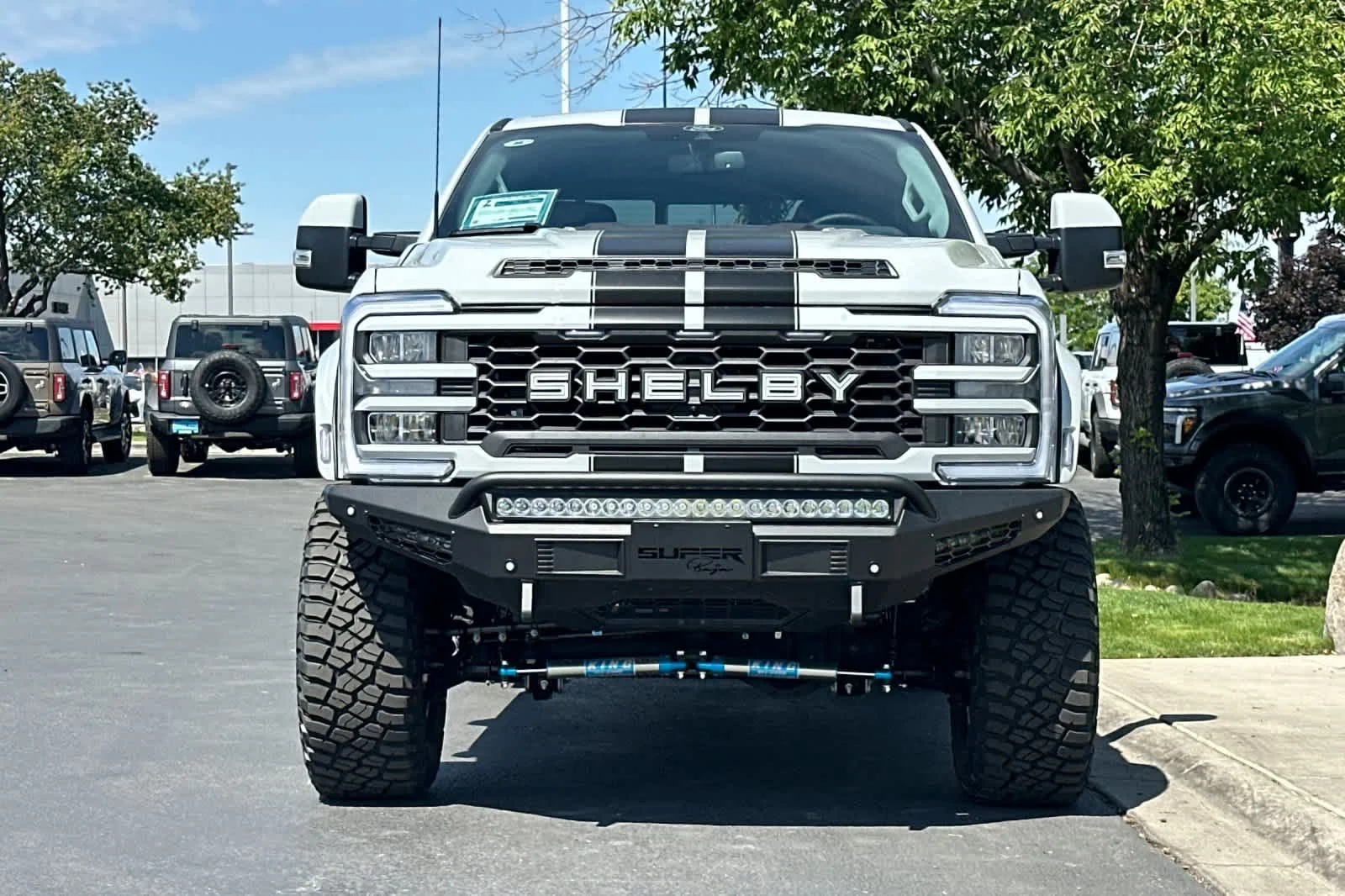 New 2026 Avalanche Ford Shelby  image 10