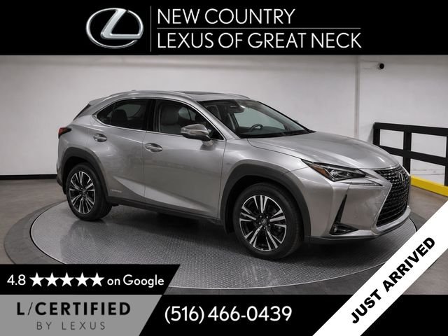 2020 Lexus UX 300h 250h AWD's photo