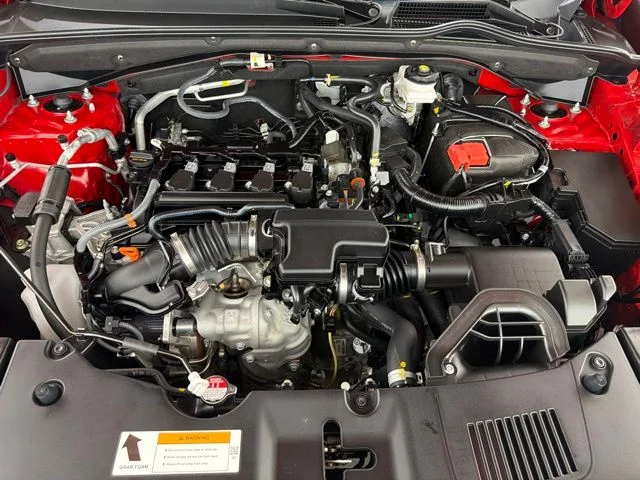 Photo 44