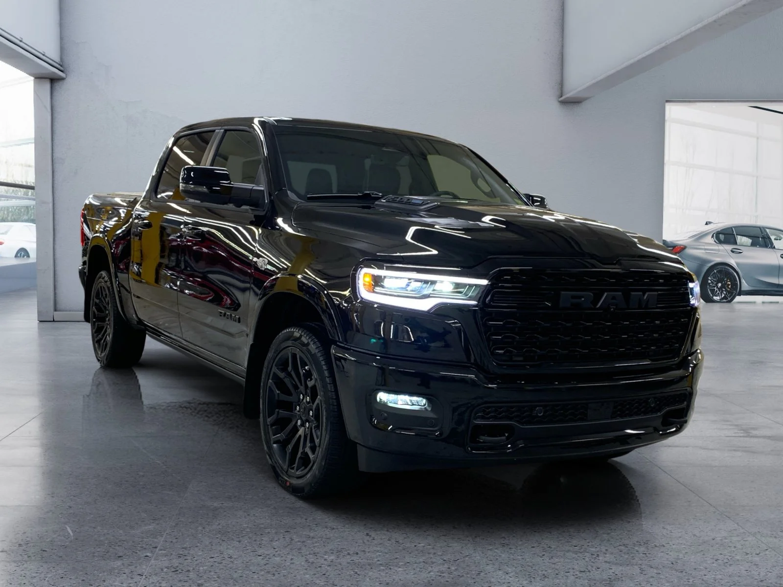 New 2026 Diamond Black Crystal Pearl Ram Limited image 7