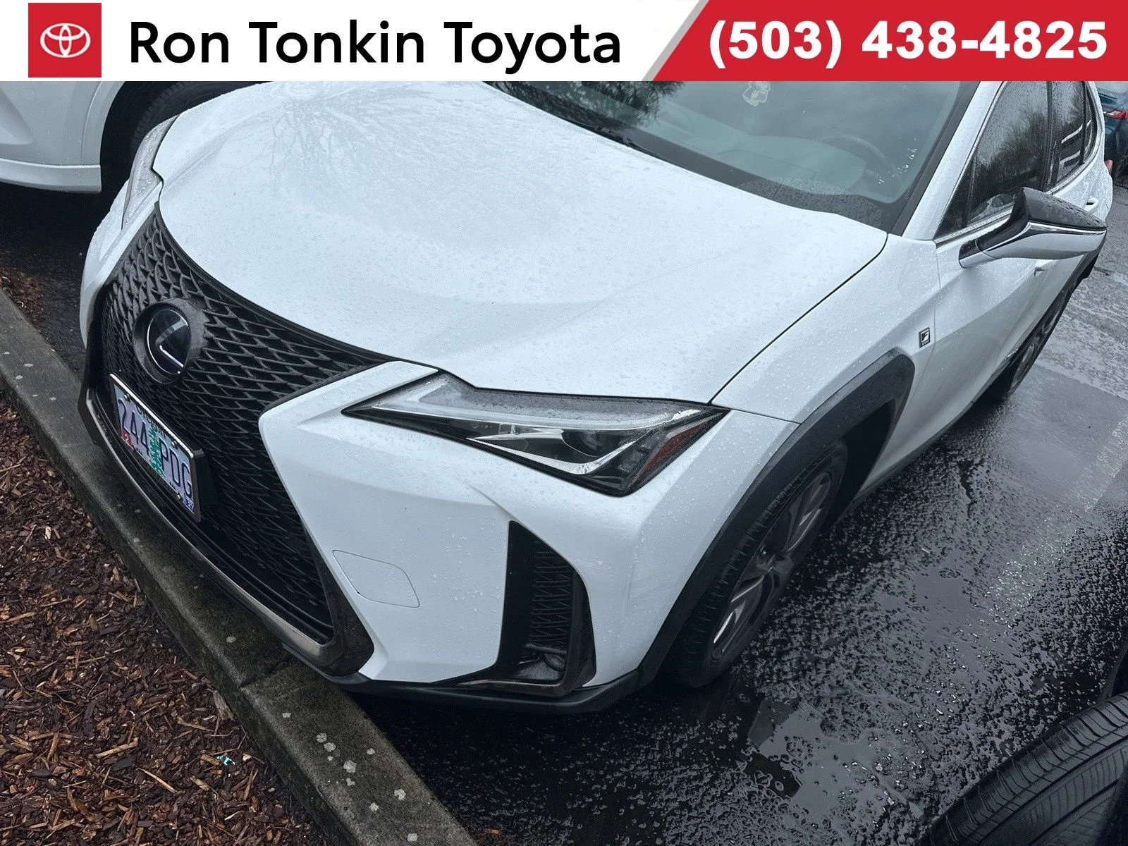 2019 Lexus UX 300h 250h F SPORT AWD's photo