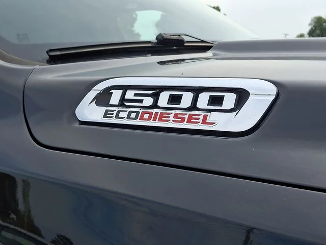 Used 2020 Black Ram Limited image 12