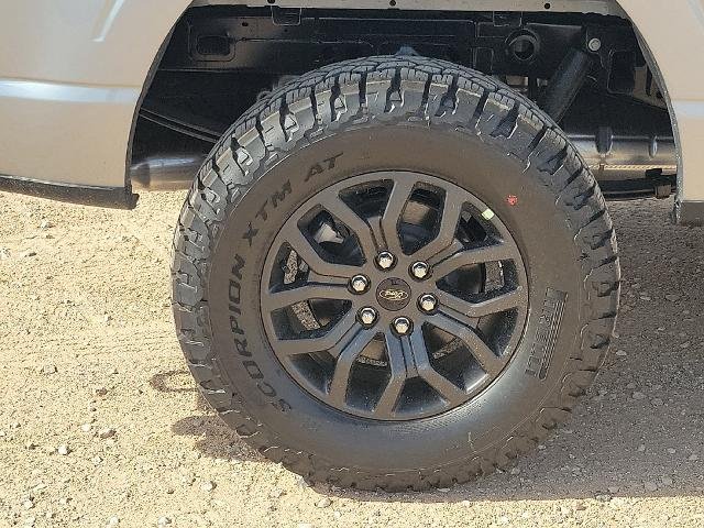New 2026 Iconic Silver Metallic Ford Tremor® image 38