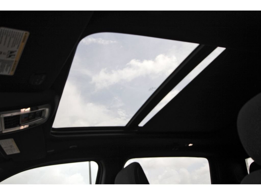 New 2026 Diamond Black Crystal Pearl-Coat Exterior Paint RAM Big Horn/Lone Star image 16
