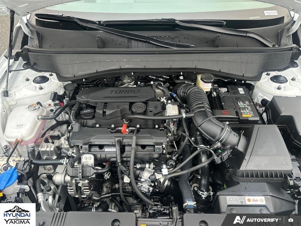 New 2026 Atlas White Hyundai Limited AWD image 10