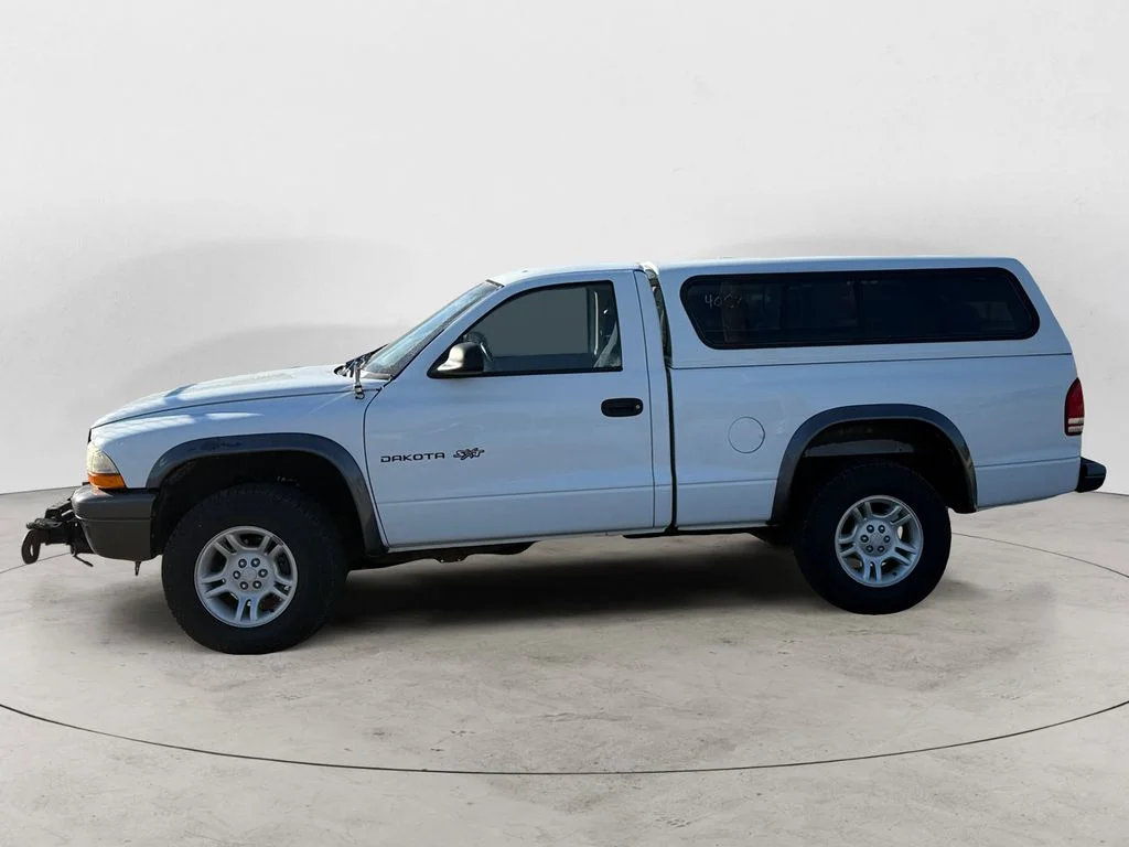 Used 2002 White Dodge Base image 2