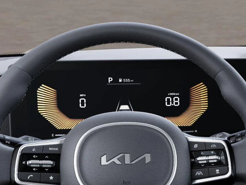 New 2026 Panthera Metal Kia EX image 21