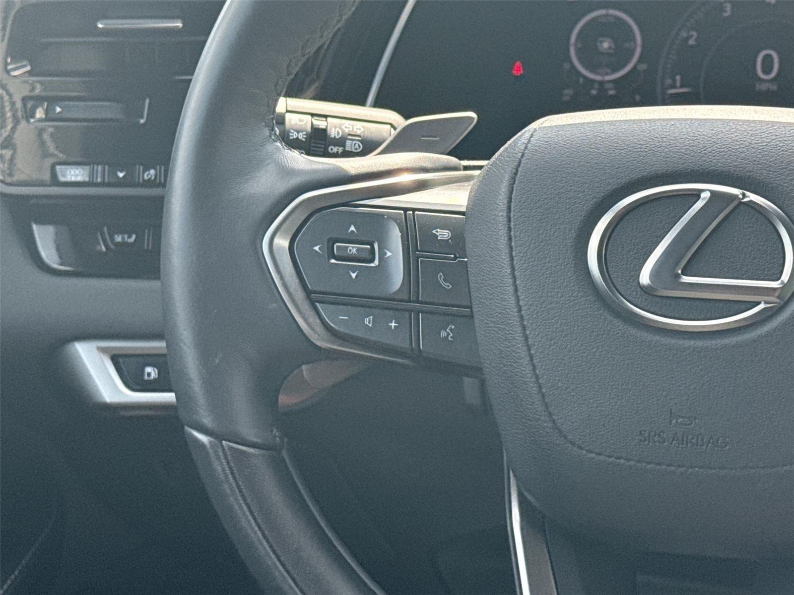 Used 2023 Iridium Lexus RX 350 Premium image 24
