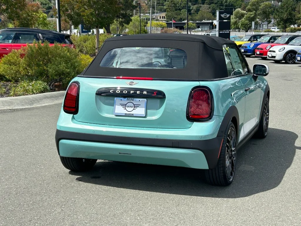 New 2026 Green MINI Signature Plus image 5