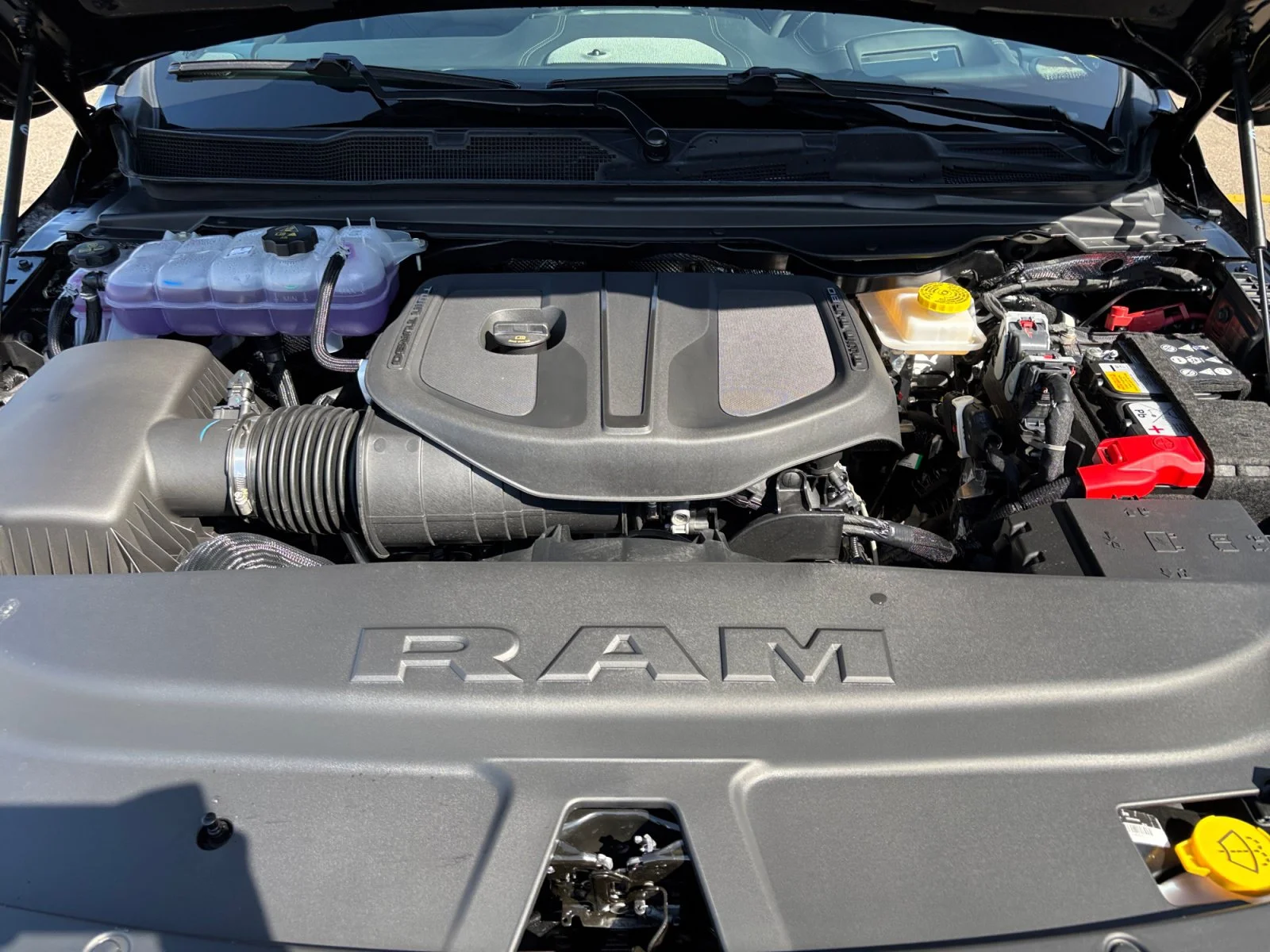 New 2026 Diamond Black Crystal Pearl Ram Rebel image 20
