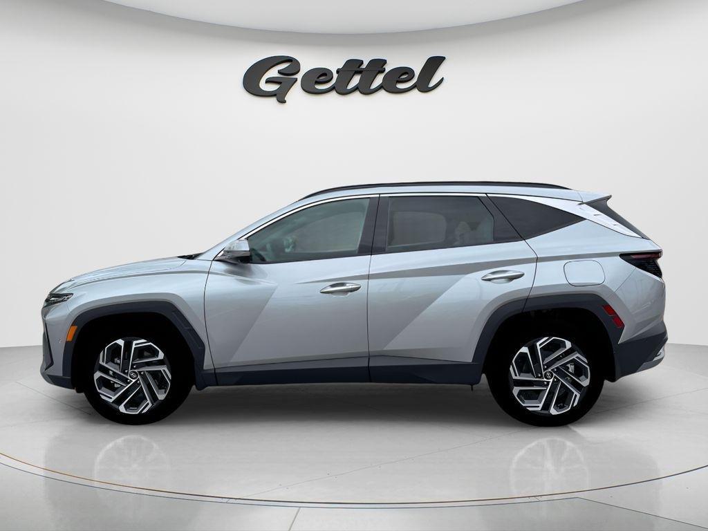 New 2026 Silver Hyundai Limited FWD image 12