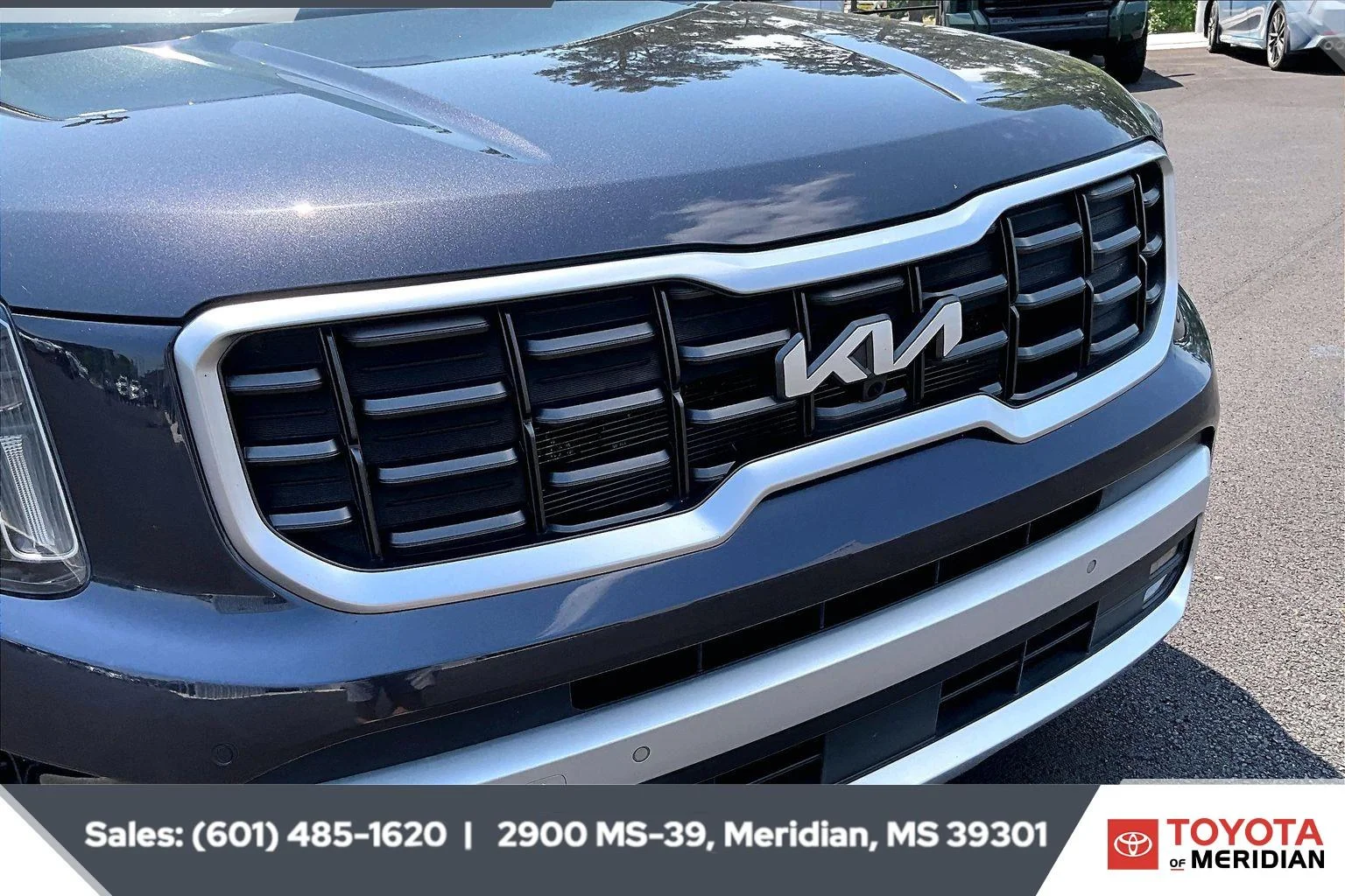 Used 2025 Panthera Metal Kia SX image 22