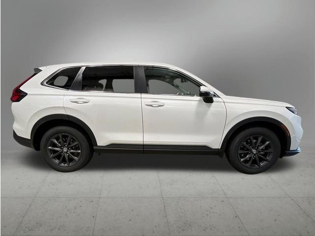 New 2026 Platinum White Pearl Honda EX-L image 7