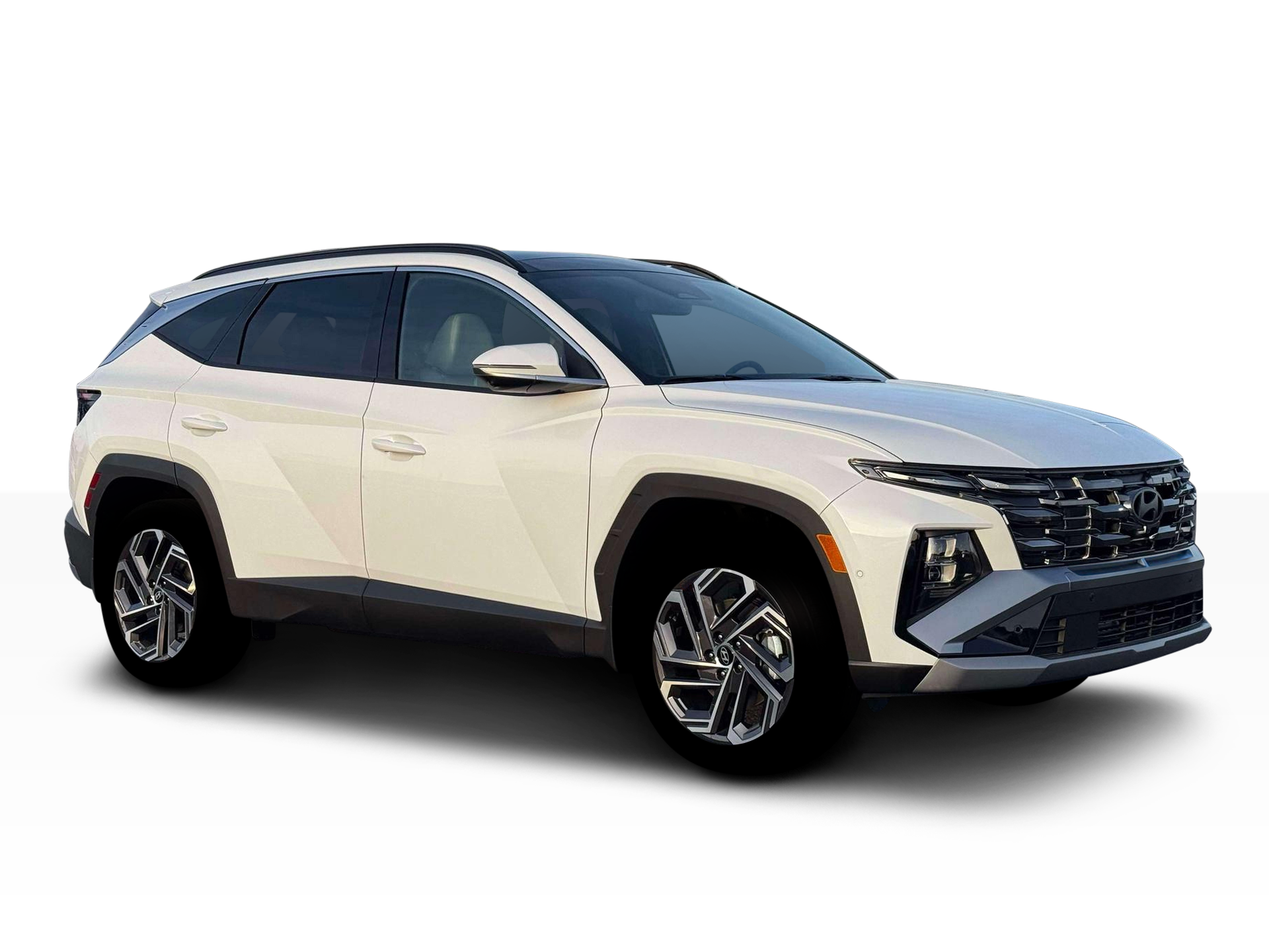 New 2026 Creamy White Pearl Hyundai Limited image 24