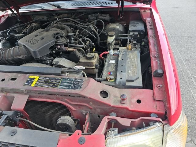 Used 2005 Red Ford  image 19