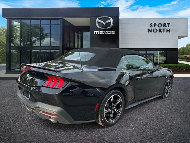 Used 2024 Black Ford EcoBoost Premium image 3