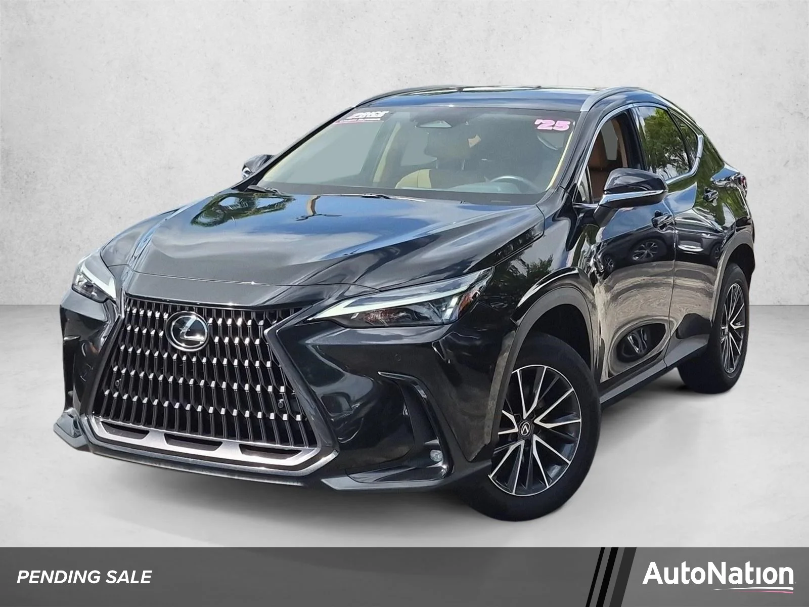 2025 Lexus NX