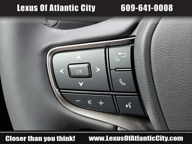 2025 Lexus UX Hybrid 300h Premium - Photo 22