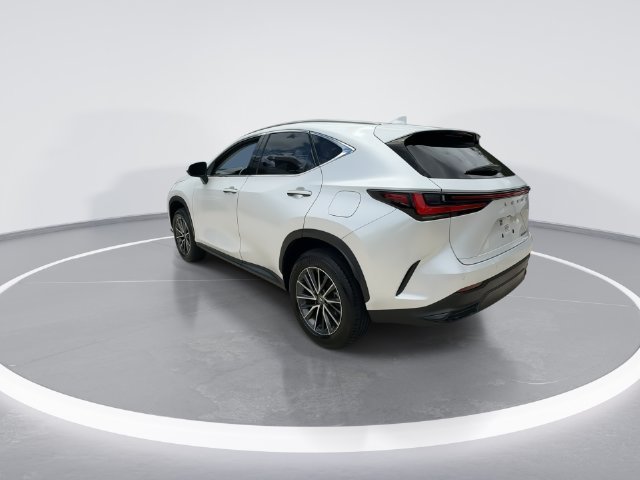 2024 Lexus NX 250 - Photo 6