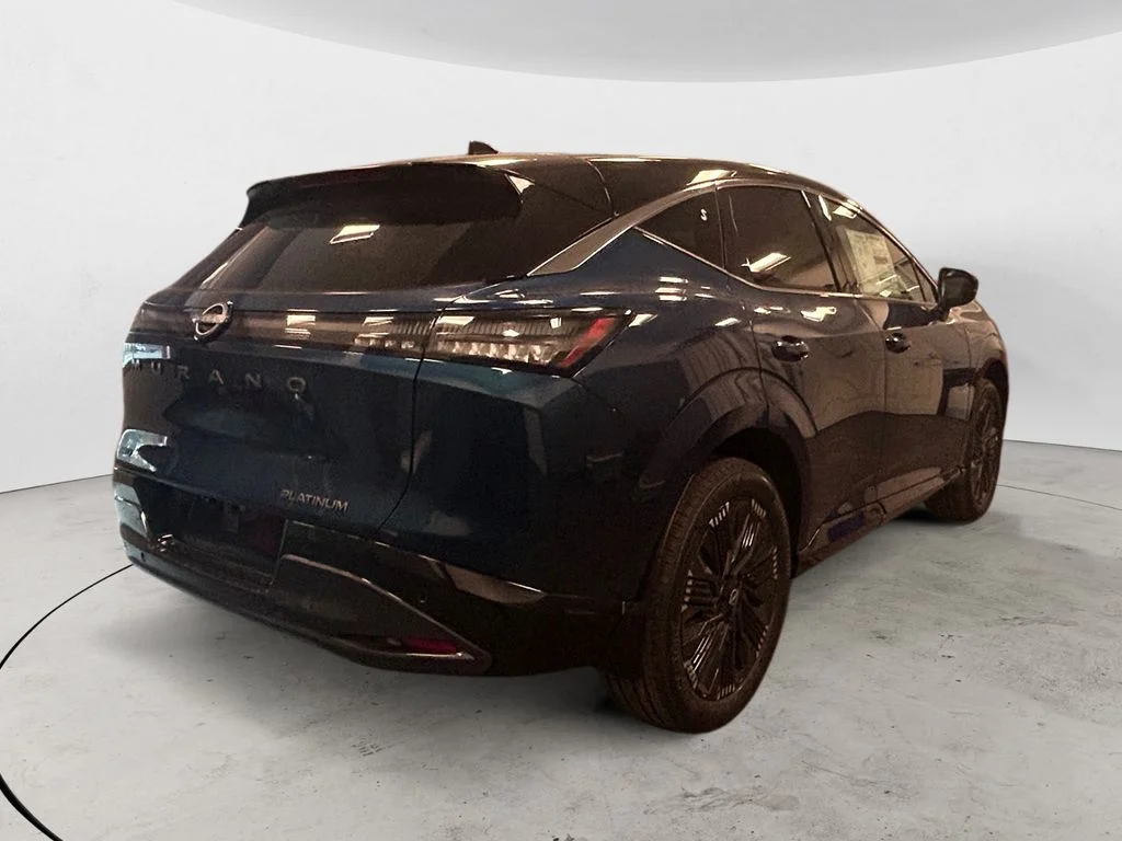 New 2026 Pearl Metallic Nissan Platinum image 5