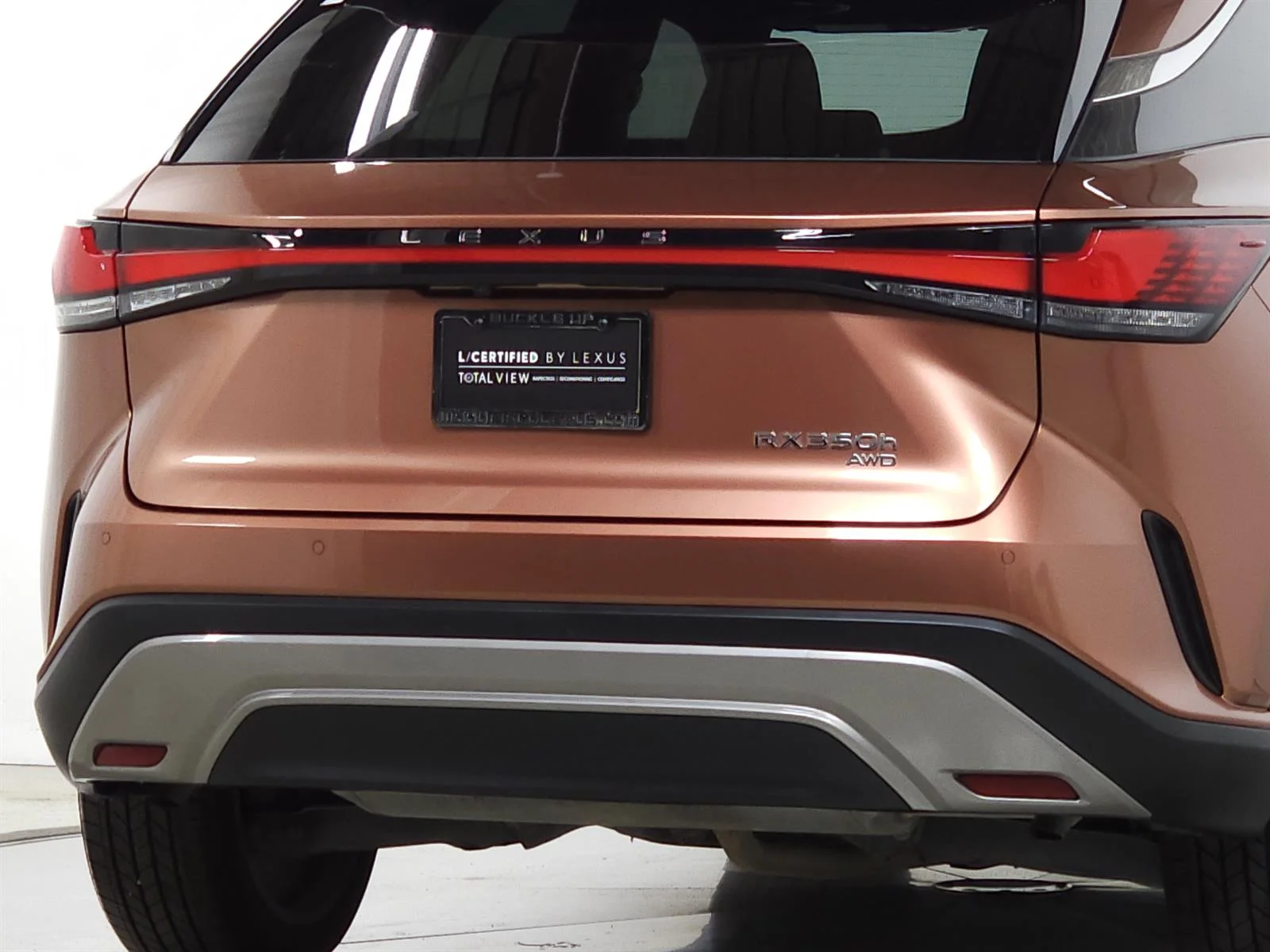 2023 Lexus RX Hybrid 350h - Photo 10