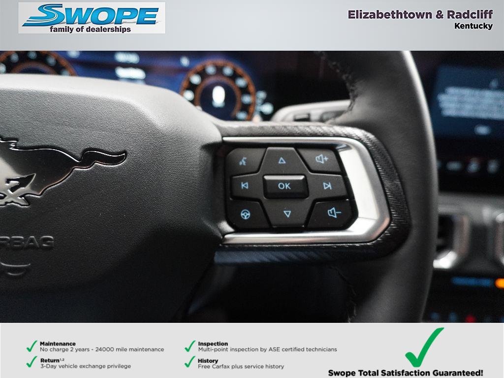 2025 Ford Mustang EcoBoost Premium Fastback - Photo 27