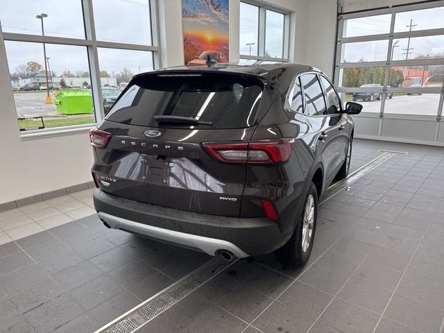 Used 2023 Red Ford Active image 5