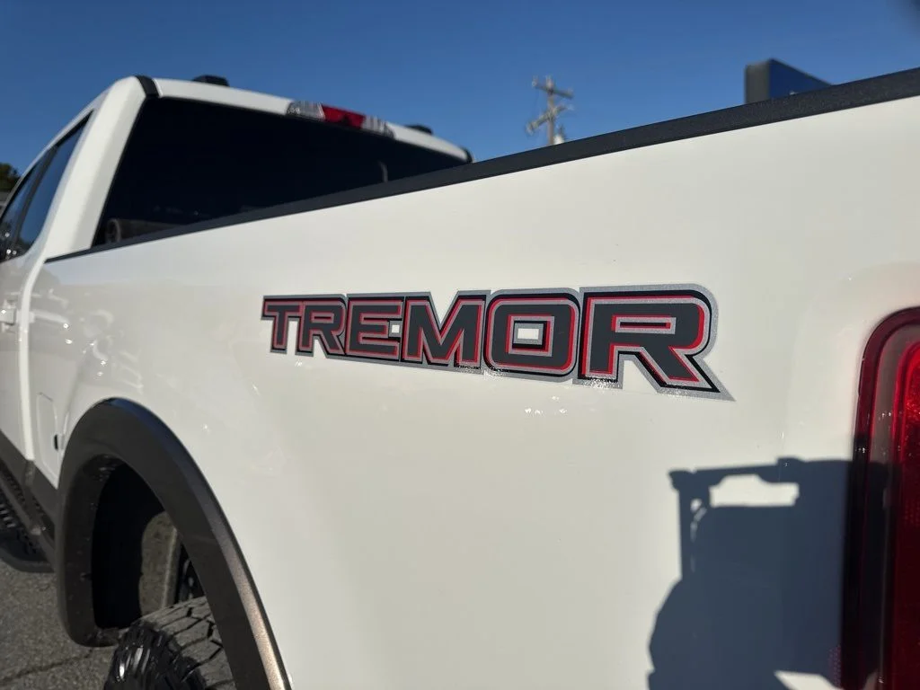 Used 2020 Gray Ford King Ranch image 32