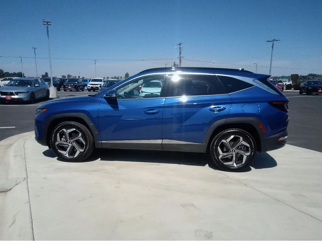 Used 2024 Intense Blue Hyundai Limited image 6