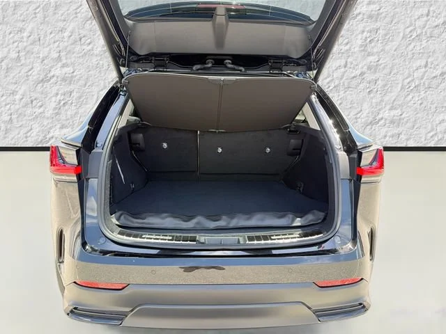 New 2026 Caviar Lexus LUXURY AWD image 12