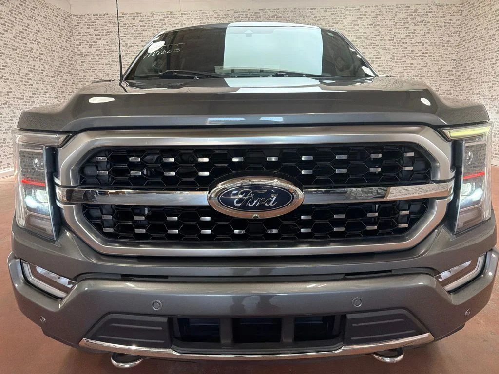 Used 2021 Guard Metallic Ford Platinum image 2
