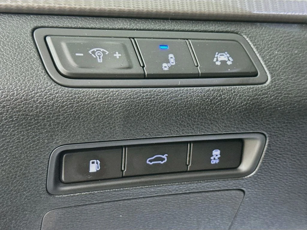 Used 2019 Blue Hyundai Limited image 10